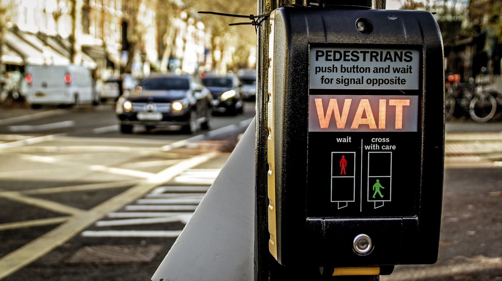 Pedestrian crossing signal